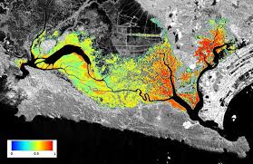 Penerapan Image Fusion Citra Satelit Landsat 7 ETM+ Untuk Pemetaan Penggunaan Lahan di Kawasan Hutan Segara Anakan